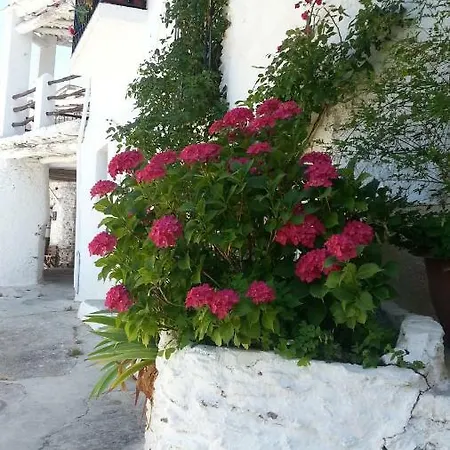 Casa Nicolasa *
