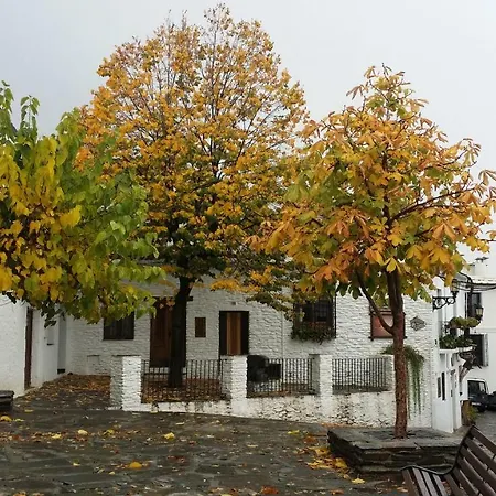 Holiday home Casa Nicolasa Capileira